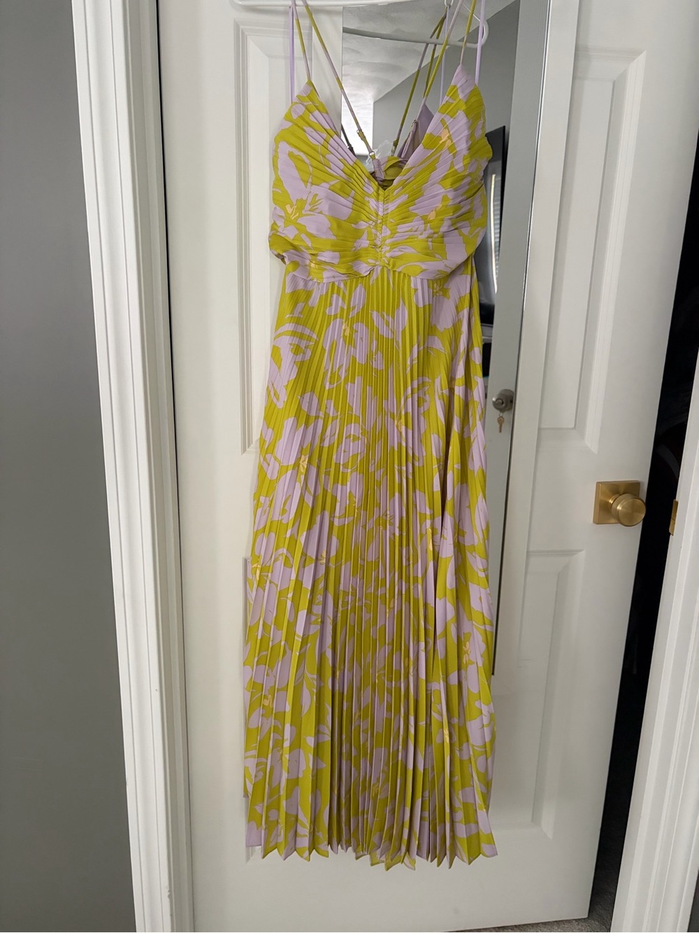 Astr Pleated Floral Maxi Dress in Lime and Light Pink